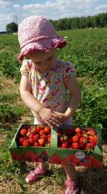 19149103_1707352482892205_6231277086476704823_n