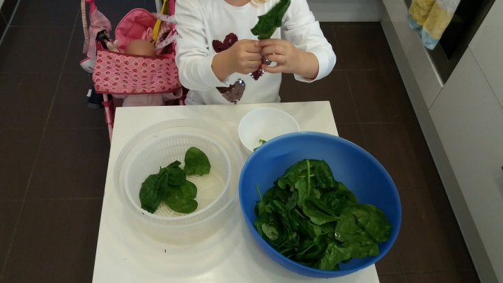 frischer Blattspinat