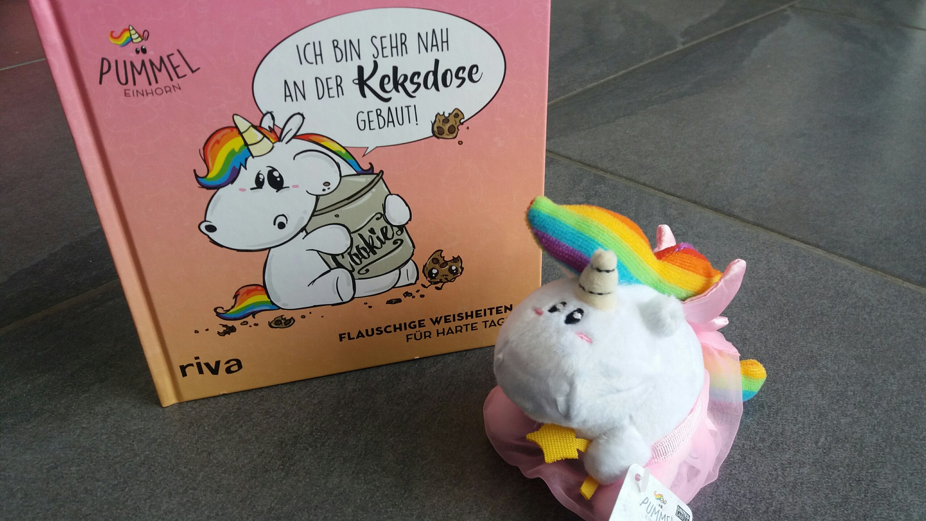 Fanpaket Pummeleinhorn: Buch und Pummelfee