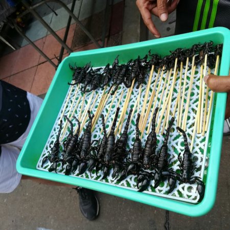 Skorpione am Spieß Thailand