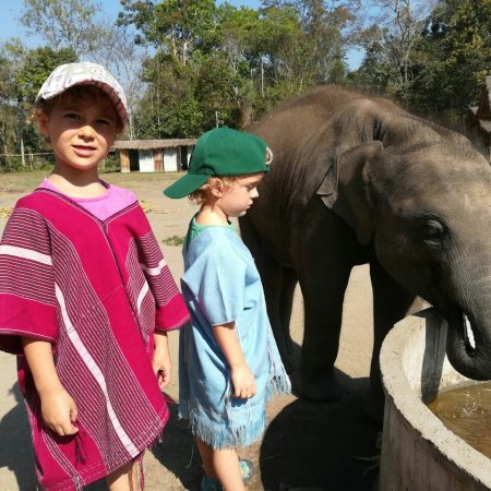 Elefantenfarm in Chiang Mai