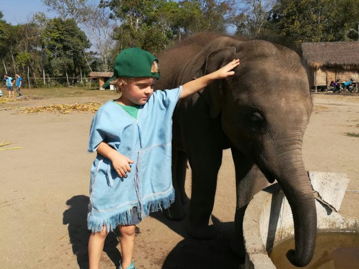 Elefantenbaby auf der Farm in Chiang Mai