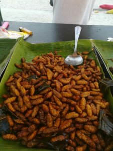 frittierte Maden in Thailand