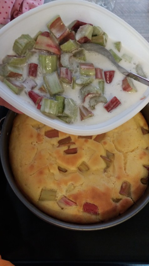 Rhabarber-Blechkuchen