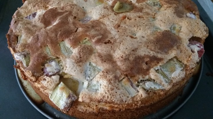 Rhabarber-Blechkuchen