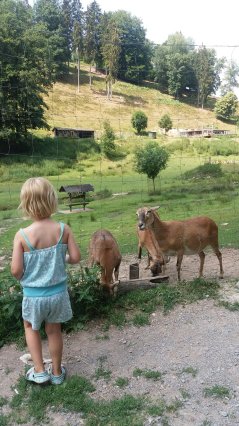 Wildpark Heigenbrücken