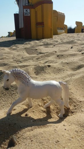 Schleich Horse Club