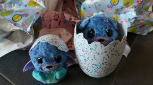 Zwillingshatchimals Surprise