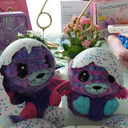 Hatchimal Zwillinge