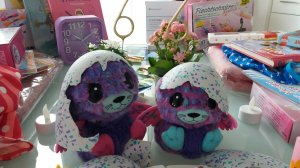 Hatchimal Zwillinge
