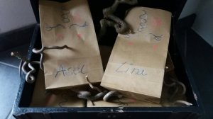 Einhornparty zum Kindergeburtstag