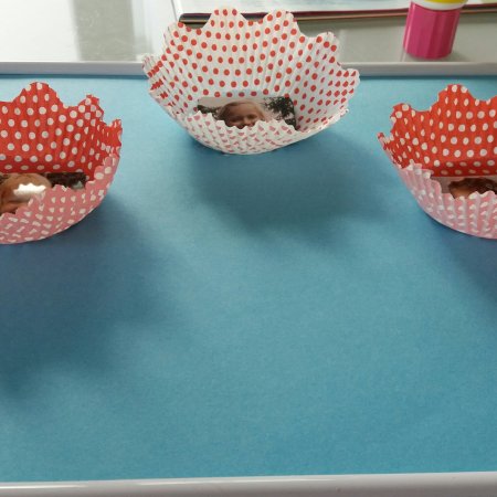 Blumenbilder aus Muffinformen