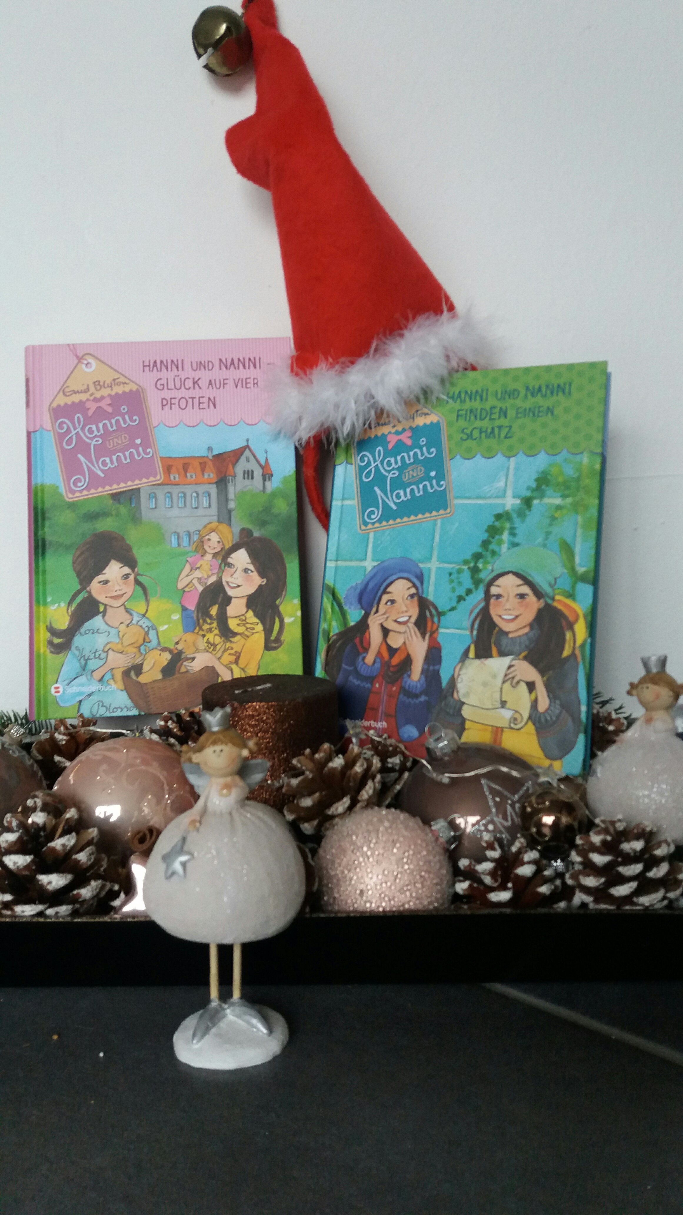 Hanni und Nanni Neuauflage 2018 Schneider Buch