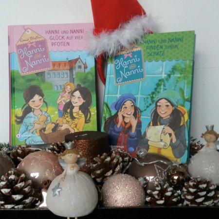 Hanni und Nanni Neuauflage 2018 Schneider Buch