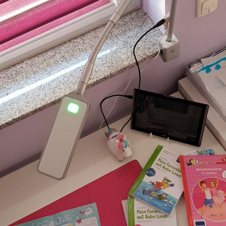 Flexlight Schreibtischlampe von Moll