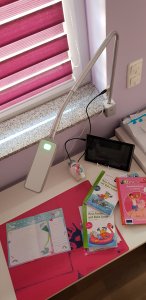 Flexlight Schreibtischlampe von Moll