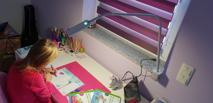 Flexlight Schreibtischlampe von Moll