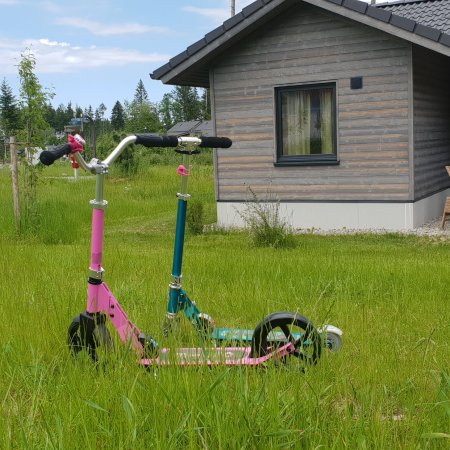 Scooter und Cruiser von Micro für Kinder ab 5 Jahren