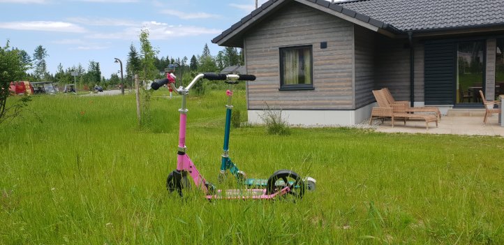 Scooter und Cruiser von Micro für Kinder ab 5 Jahren