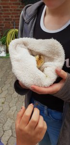 Bauern und Reiterhof Peine Cuxhaven