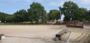 Bauern und Reiterhof Peine Cuxhaven