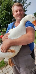 Tiere auf dem Hof Peine Cuxhaven