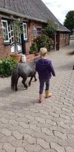 Reiter und Bauernhof Peine Cuxhaven Holte-Spangen