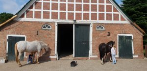 Bauern und Reiterhof Peine Cuxhaven