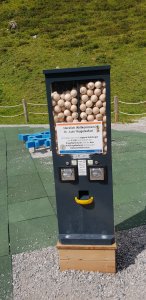 Luis Kugelsafari am Hintertuxer Gletscher Sommerberg 2.100 m