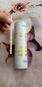 Selbsttest zur Erkennung von Blasenentzündung