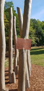 Drachenzähmen leicht gemacht und Pferde Geburtstag