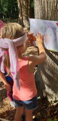 Drachenzähmen leicht gemacht und Pferde Geburtstag