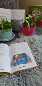 Buch Lilous Wundergarten