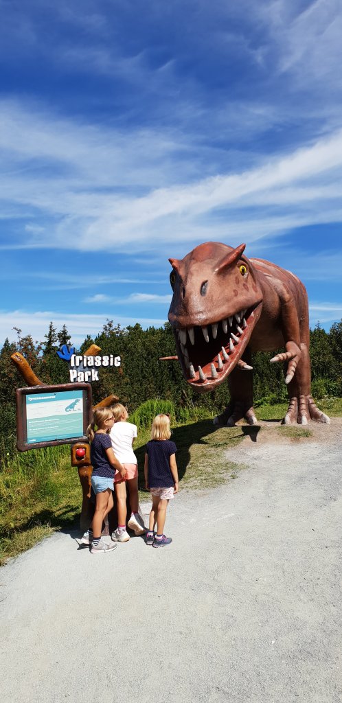 Triassic Park Steinplatte Waidring