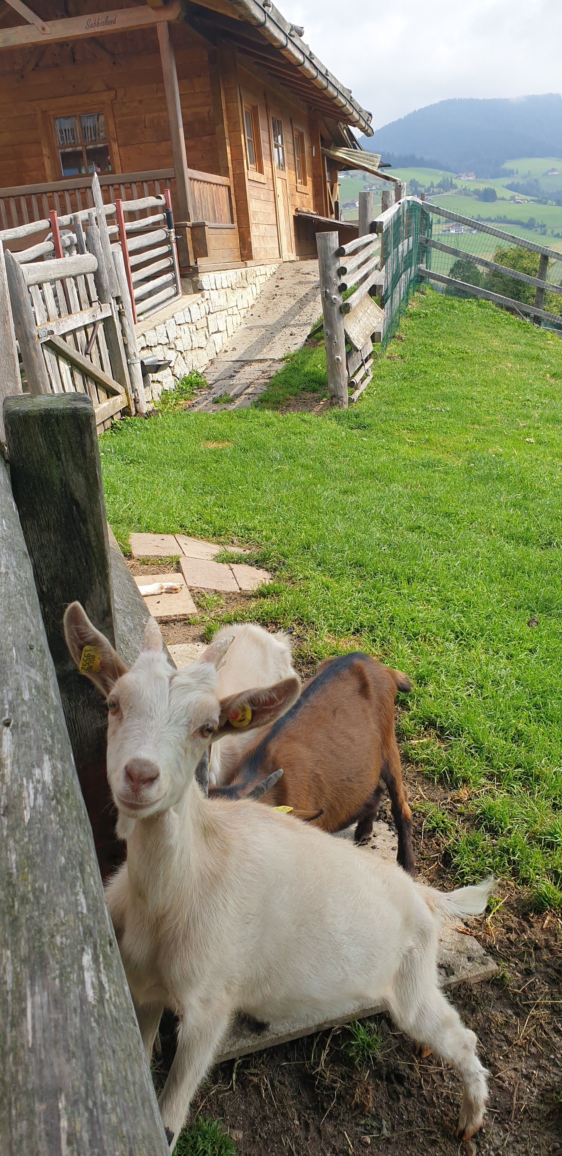 Family Home Alpenhof