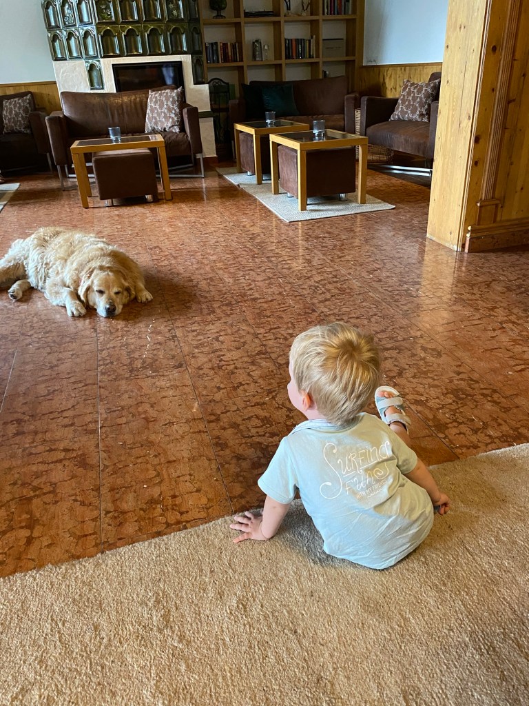 Hotel Montanra Flachau