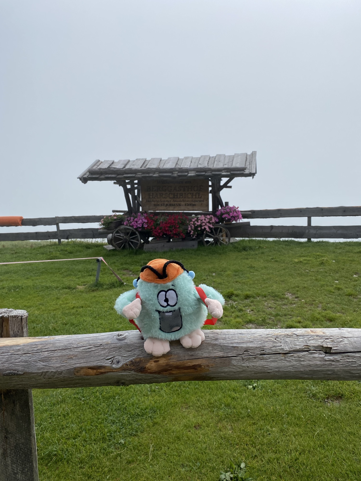 Harschbichlalm St. Johann i.T.