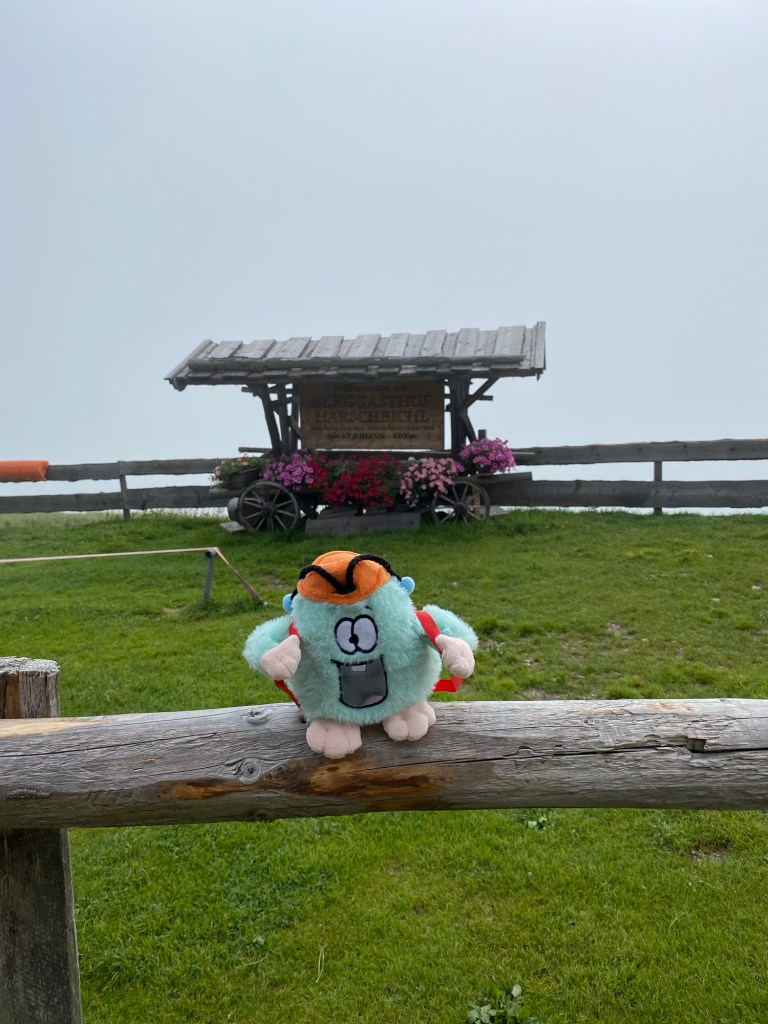 Harschbichlalm St. Johann i.T.