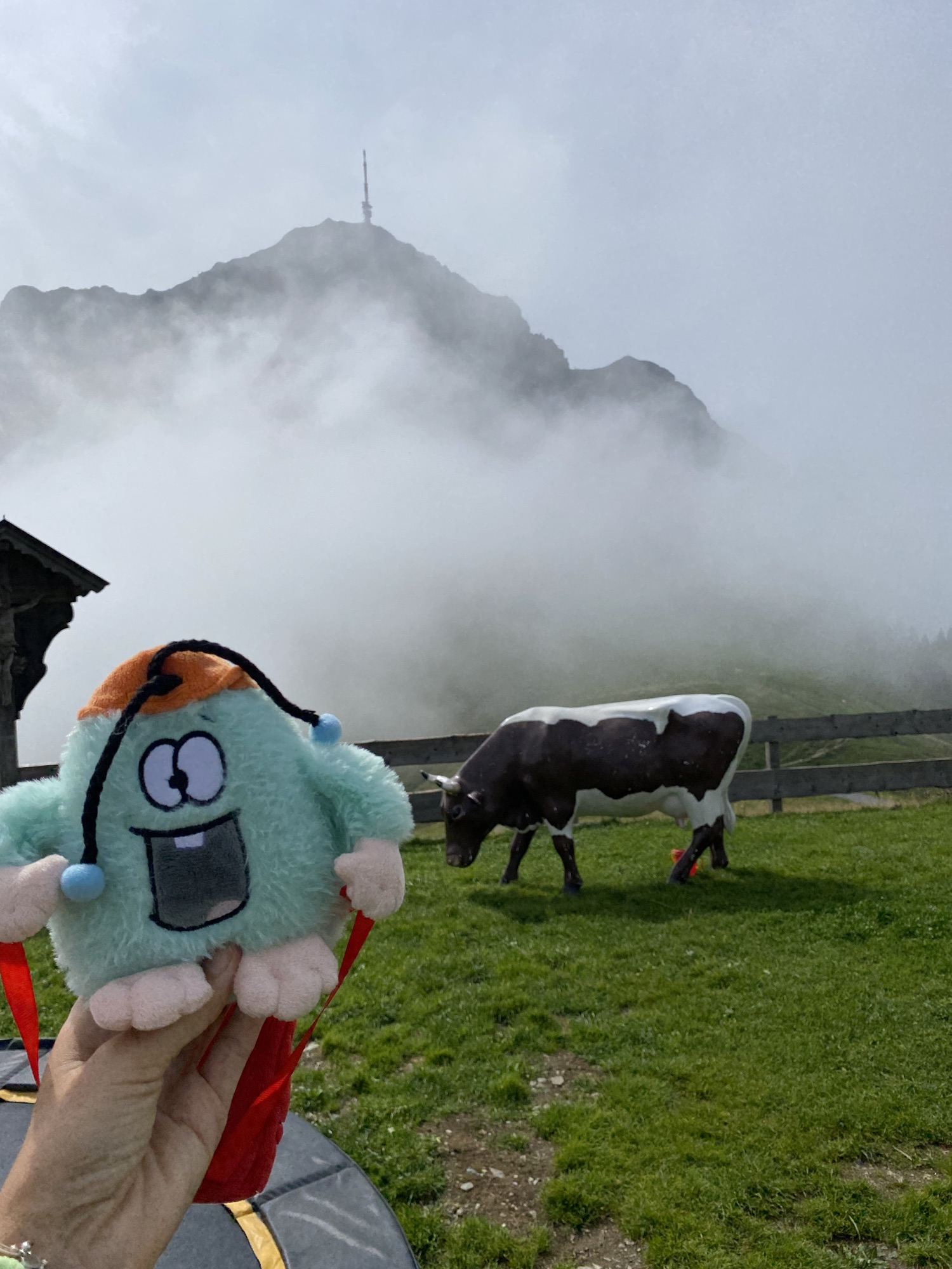 Harschbichlalm St. Johann i.T.