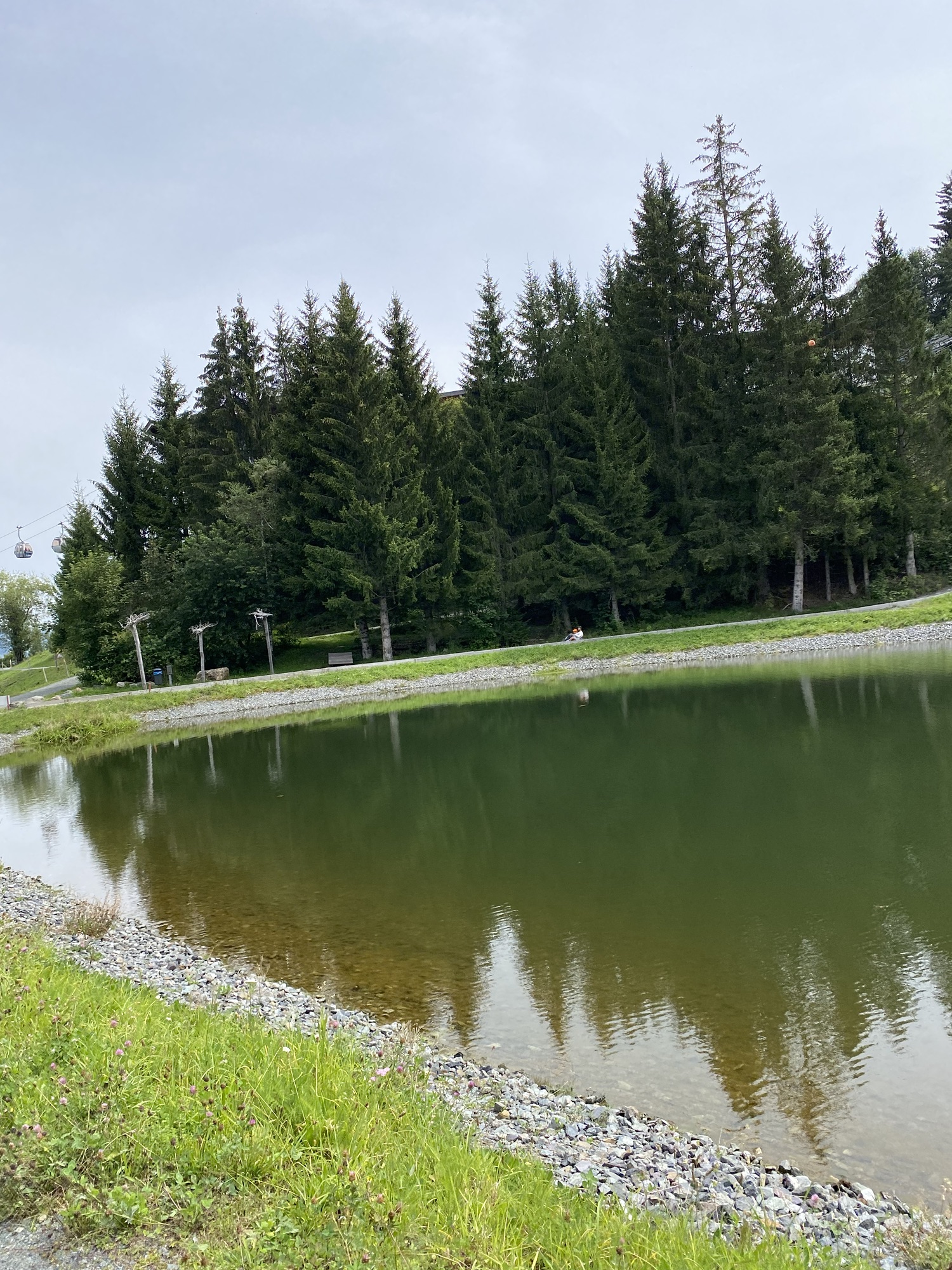 Harschbichl Actionsberg, Hornpark