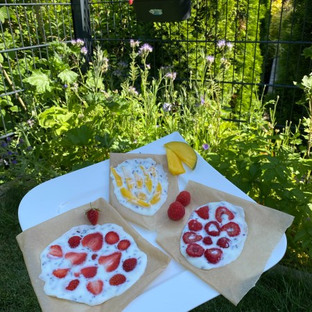 schnelles Joghurt-Obsteis ohne Eismaschine