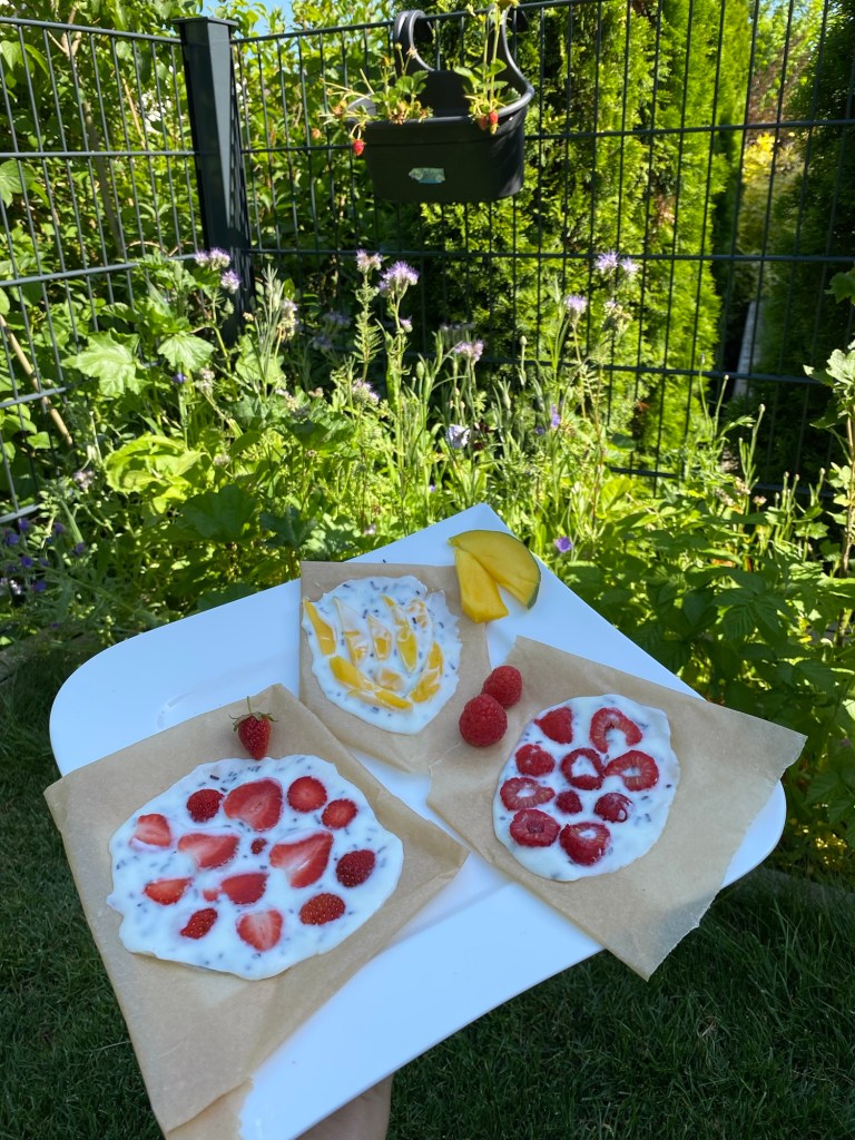 schnelles Joghurt-Obsteis ohne Eismaschine